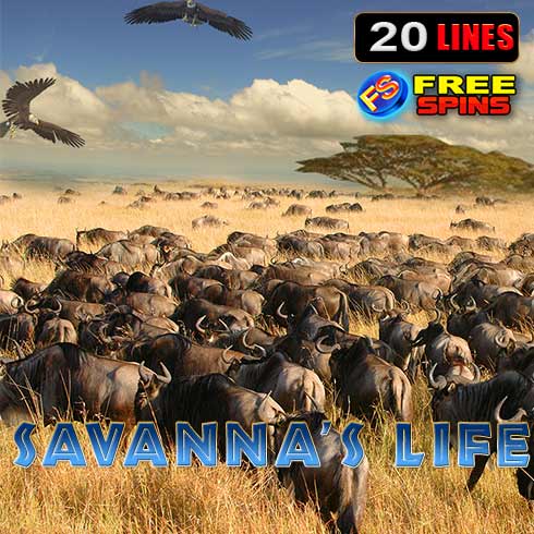 Savanna’s Life